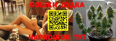 крисы Бузулук